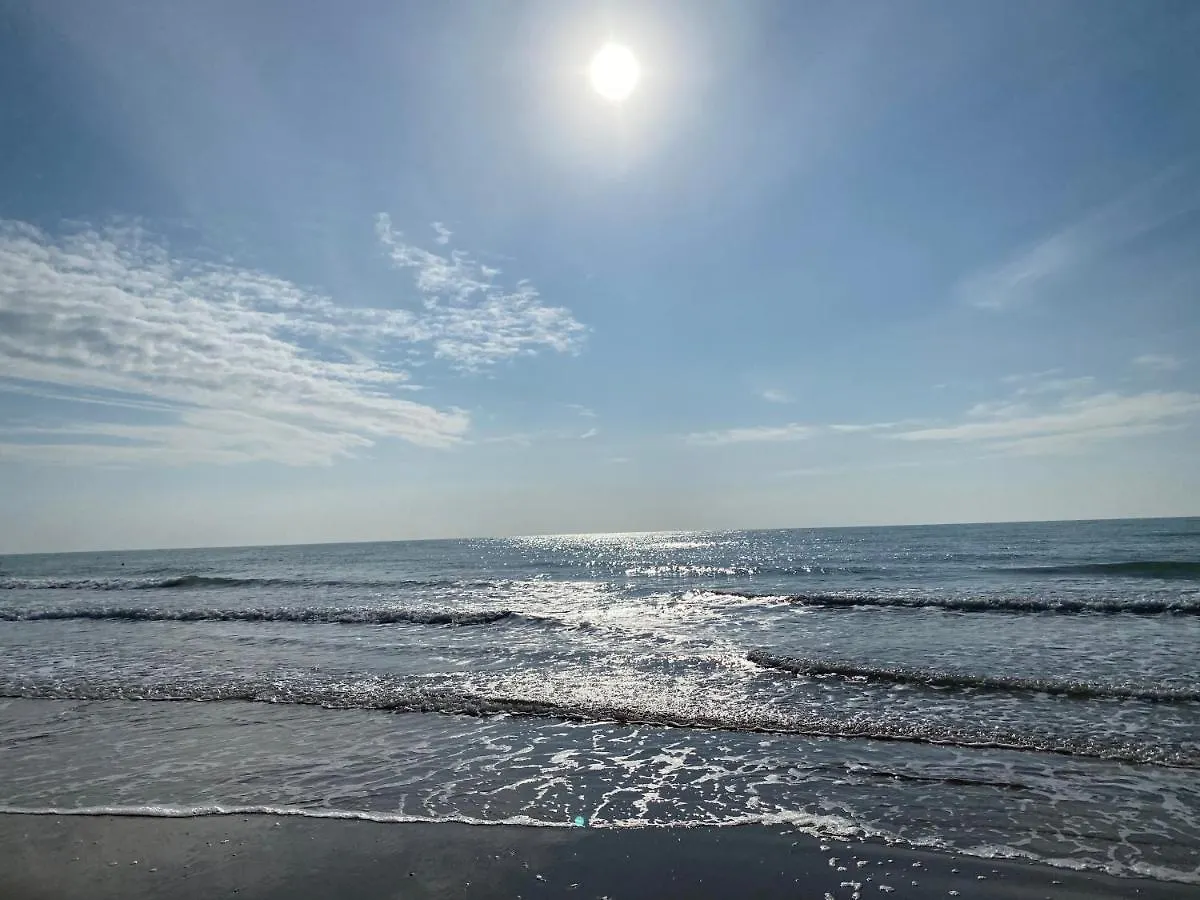 Appartement Residence El Palmar Fronte Mare, Fronte Spiaggia Jesolo